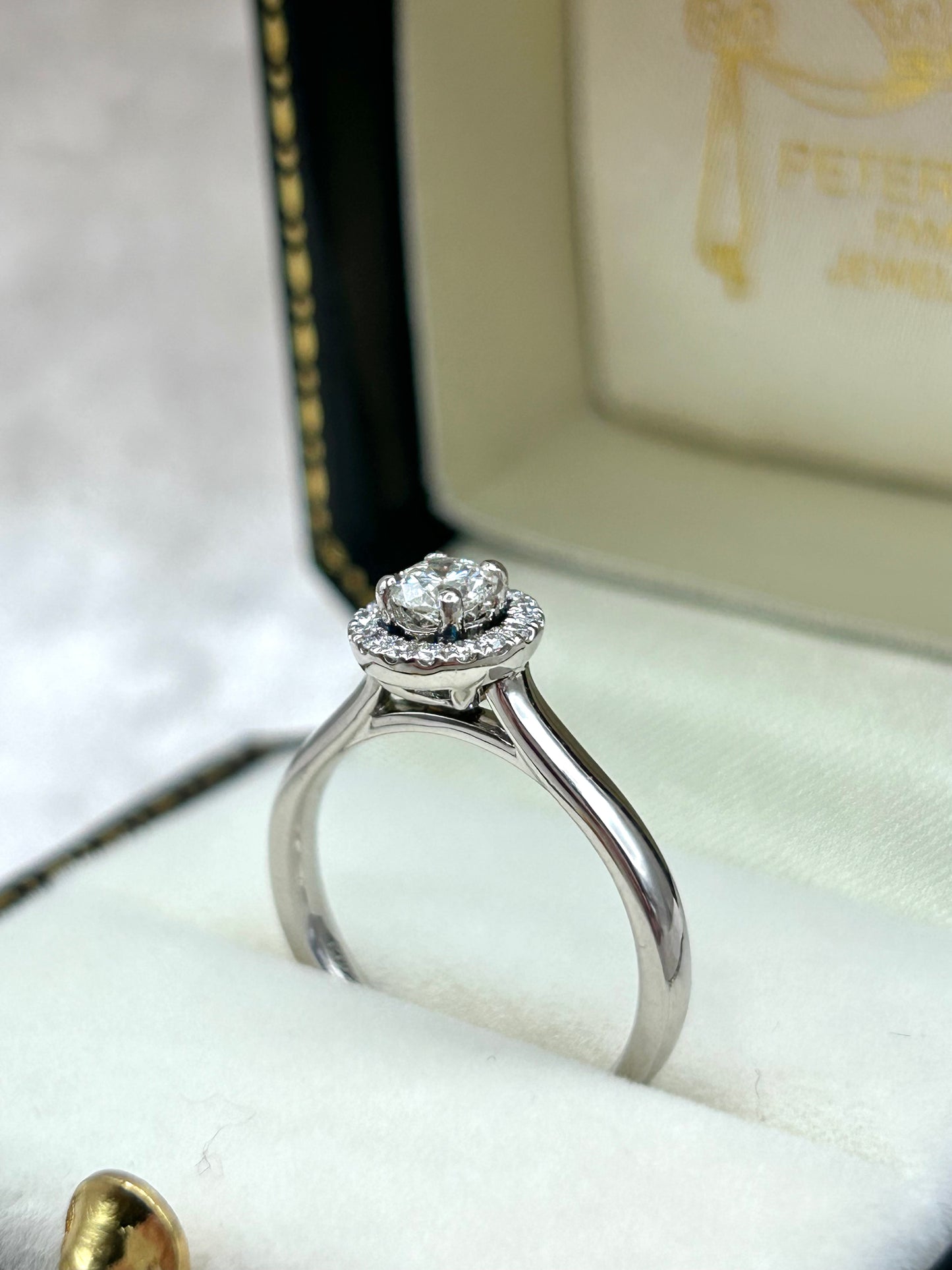 Platinum Diamond Halo Engagement Ring
